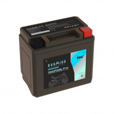 Мото BUSHIDO NaCRX5L pro (YTX5L-BS, 4,5Ah) обр